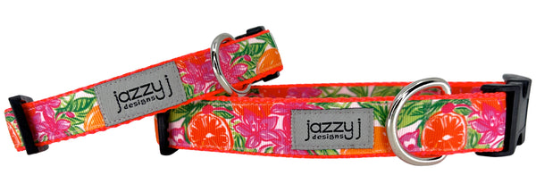 Orange Citrus Blossom Dog Collar