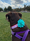 Purple Cosmic Donuts Dog Collar