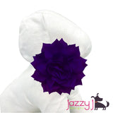 Dark Purple Dahlia Flower