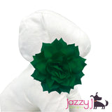 Emerald Green Dahlia Flower