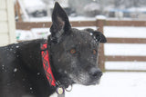 Red Tartan Holiday Dog Collar