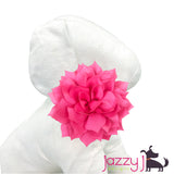 Shocking Pink Dahlia Flower