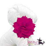 Hot Pink Dahlia Flower