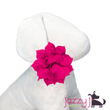 Hot Pink Lotus Flower