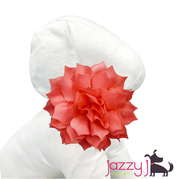 Light Coral Dahlia Flower