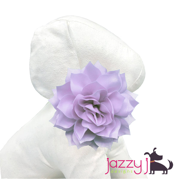 Light Lavender Dahlia Flower