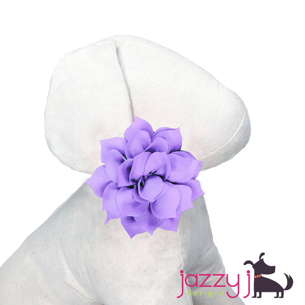 Light Lavender Lotus Flower