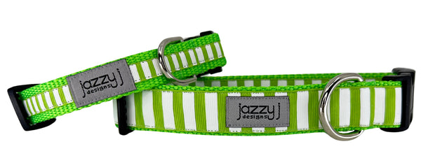 Lime & White Striped Dog Collar