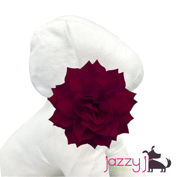 Maroon Dahlia Flower