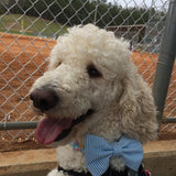Blue Seersucker Bow Tie