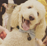 Blue Seersucker Bow Tie