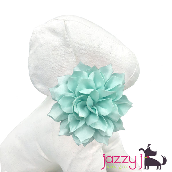 Mineral Ice Dahlia Flower