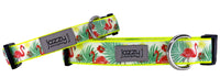 Neon Flamingo Dog Collar