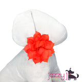 Neon Orange Lotus Flower