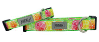 Watercolor Citrus Dog Collar