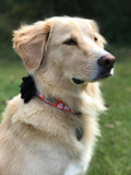 Ghost Party Dog Collar