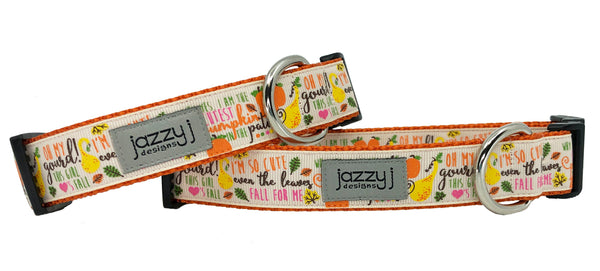 Oh My Gourd Dog Collar