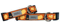 Orange Pilgrim Thanksgiving Dog Collar