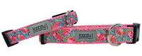 Pastel Pink Flamingo Dog Collar