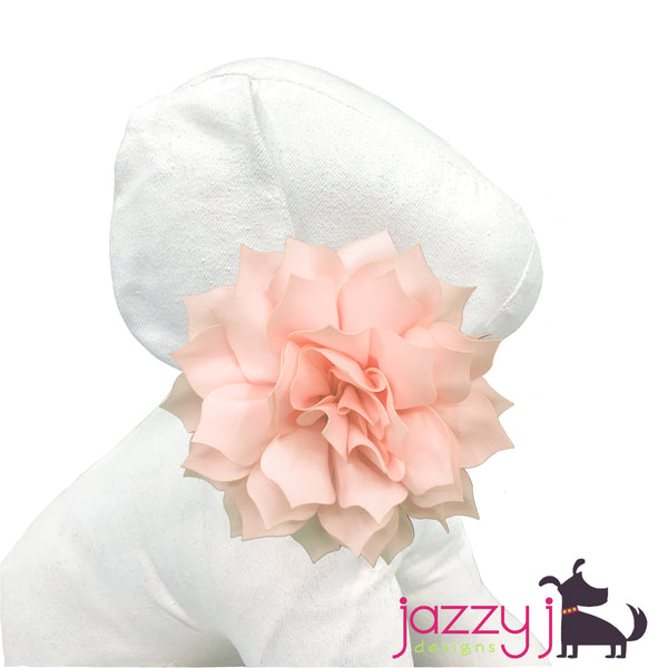 Blush Pink Dahlia Flower