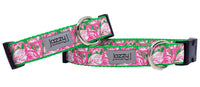 Pink & Green Flamingo Dog Collar