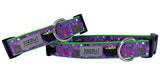 I Put A Spell On You Dog Collar