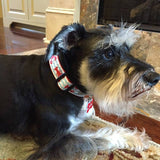 Red Lobster Dog Collar