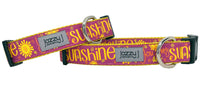 Rose Sunshine Dog Collar