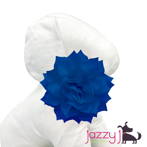 Royal Blue Dahlia Flower