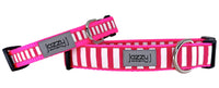 Shocking Pink & White Striped Dog Collar