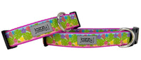 Tropical Rainforest Dog Collar