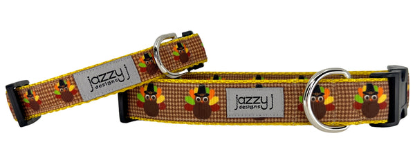 Gold Turkey Feathers Dog Collar