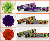 Orange Witch Hats Dog Collar