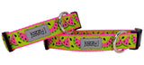 Wild Watermelon Dog Collar