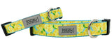 Yellow Roses Dog Collar